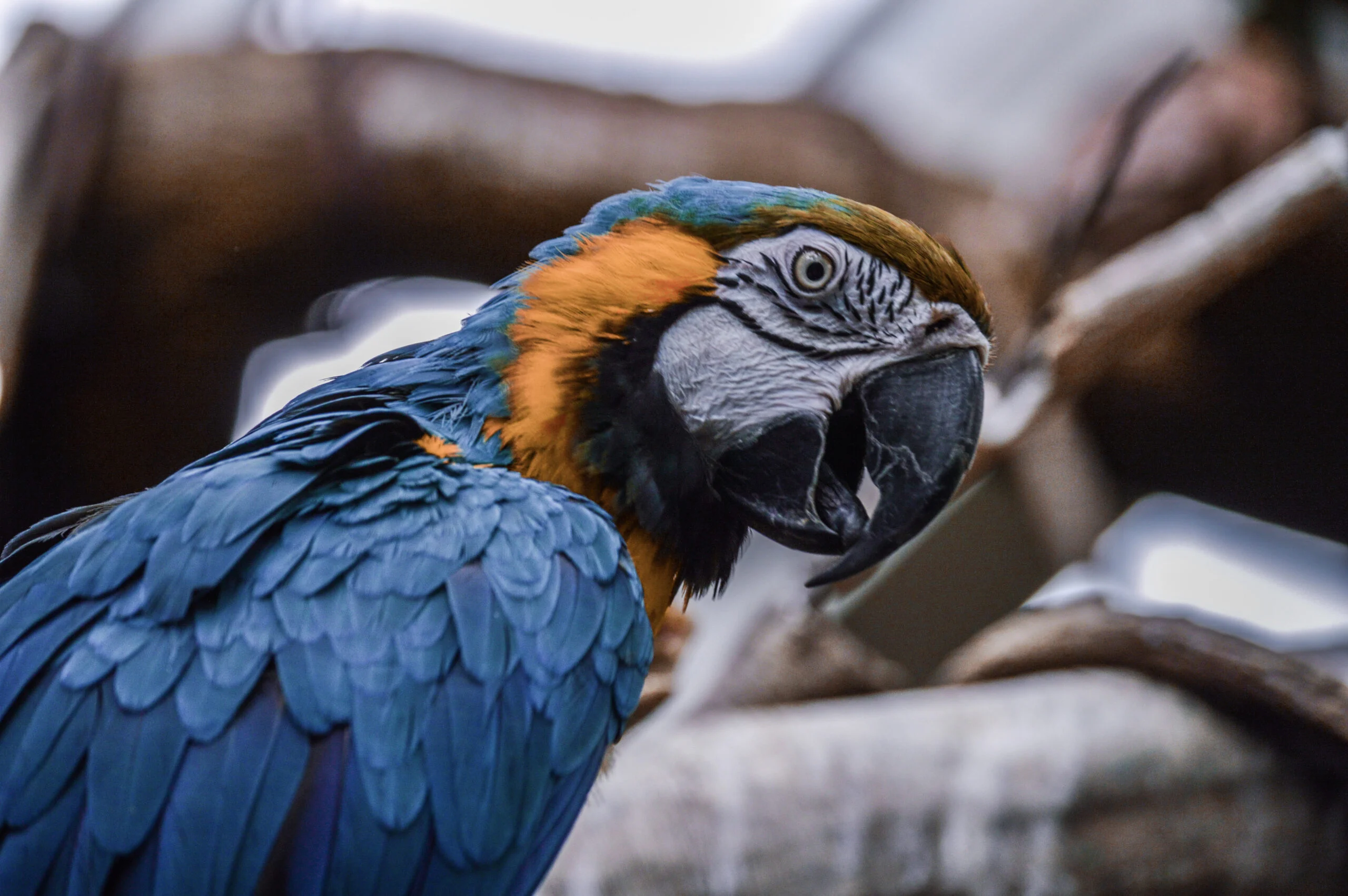 Détail coloré isolé dans son environnement
