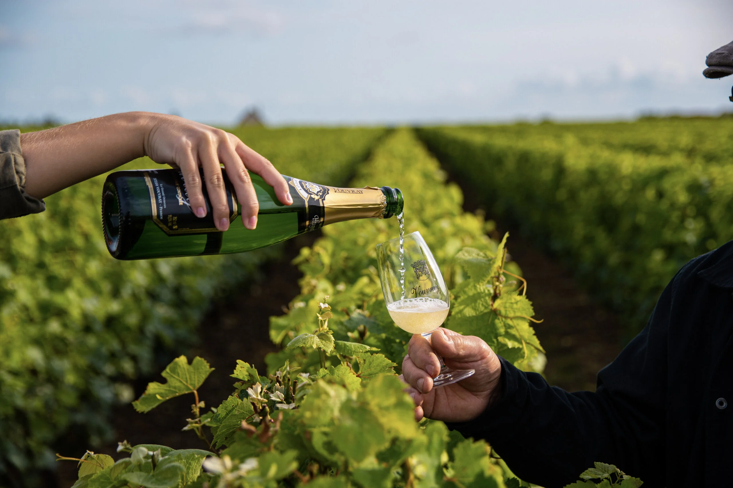Vin servi dans un verre au milieu des vignes