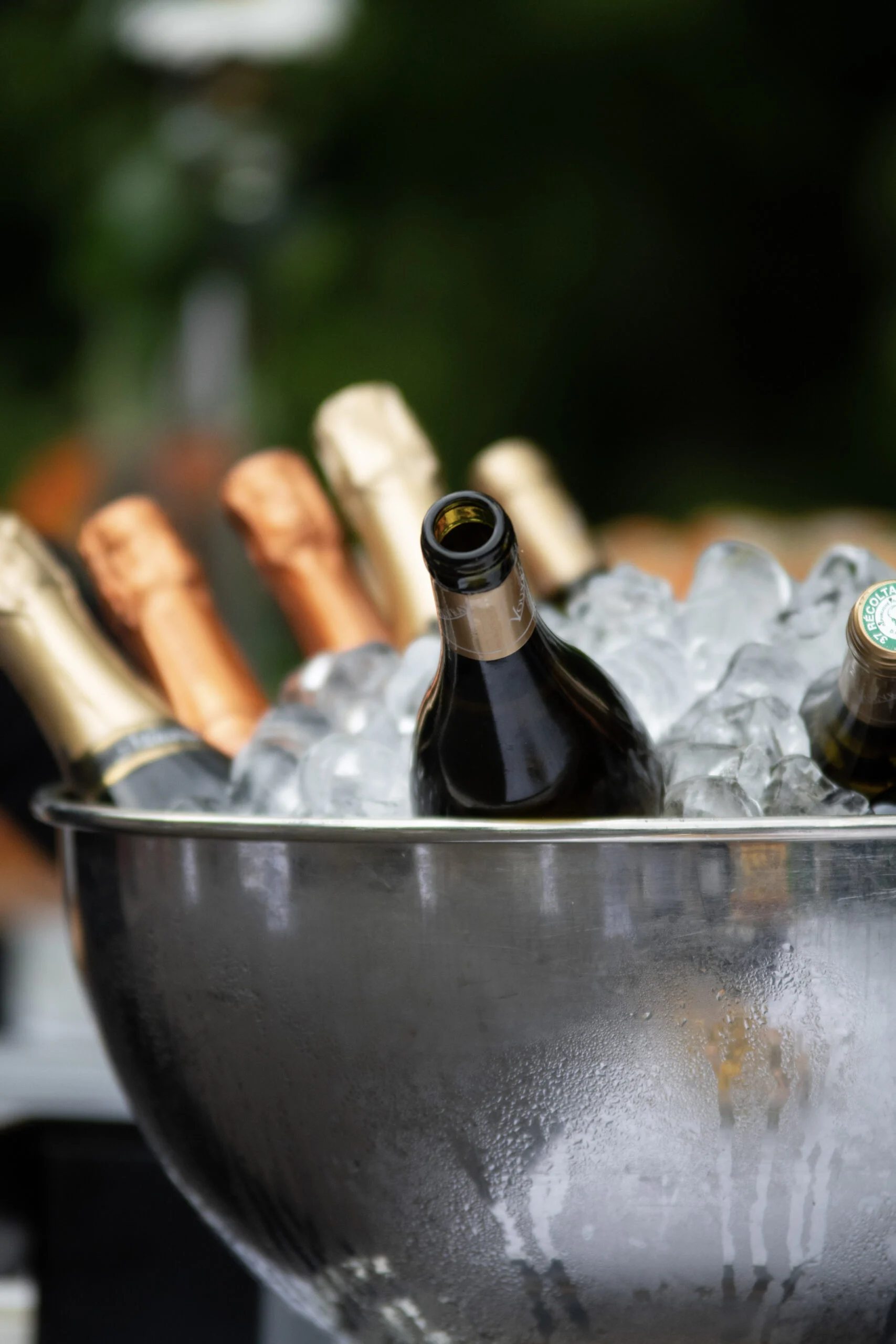Bouteilles de vin et de champagne présentées dans un seau à glace